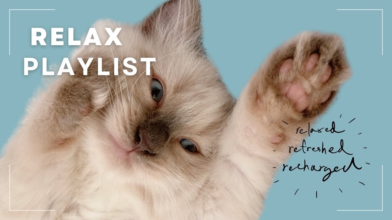 Playlist [relax]｜今日は静かに過ごしたい🌿Calm & Peaceful Instrumental for Quiet Days 🕯  조용히 보내고 싶은 하루