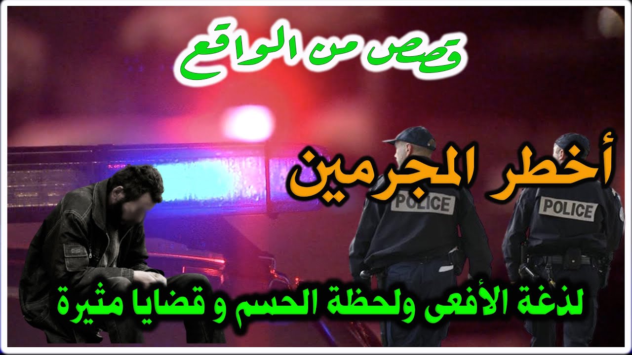 لذغة الأفعى ولحظة الحسم│قضايا بوليسية من قصص وتحقيقات وتحريات الدرك والشرطة