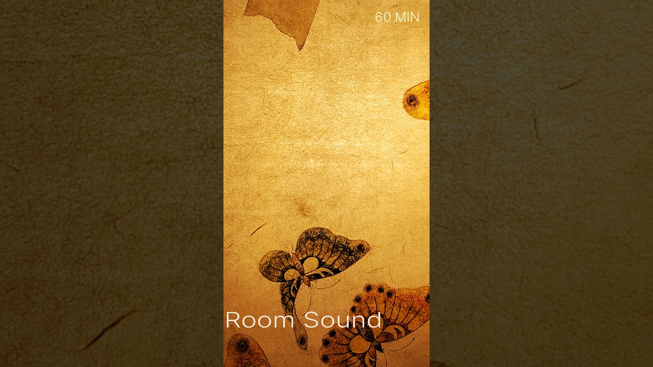 Pure Room Sound 60 MIN #01 | Quiet Focus Room | Little Quiet Studio