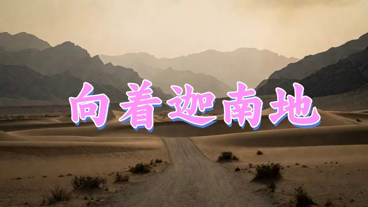 🎵CCM向着迦南地🎵