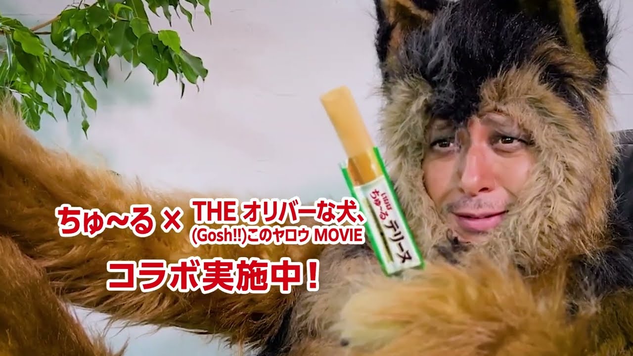 いなば「ちゅ～るテリーヌ」&times;映画『THE オリバーな犬、Gosh!!このヤロウ MOVIE』 タイアップCM（いなば食品グループ）