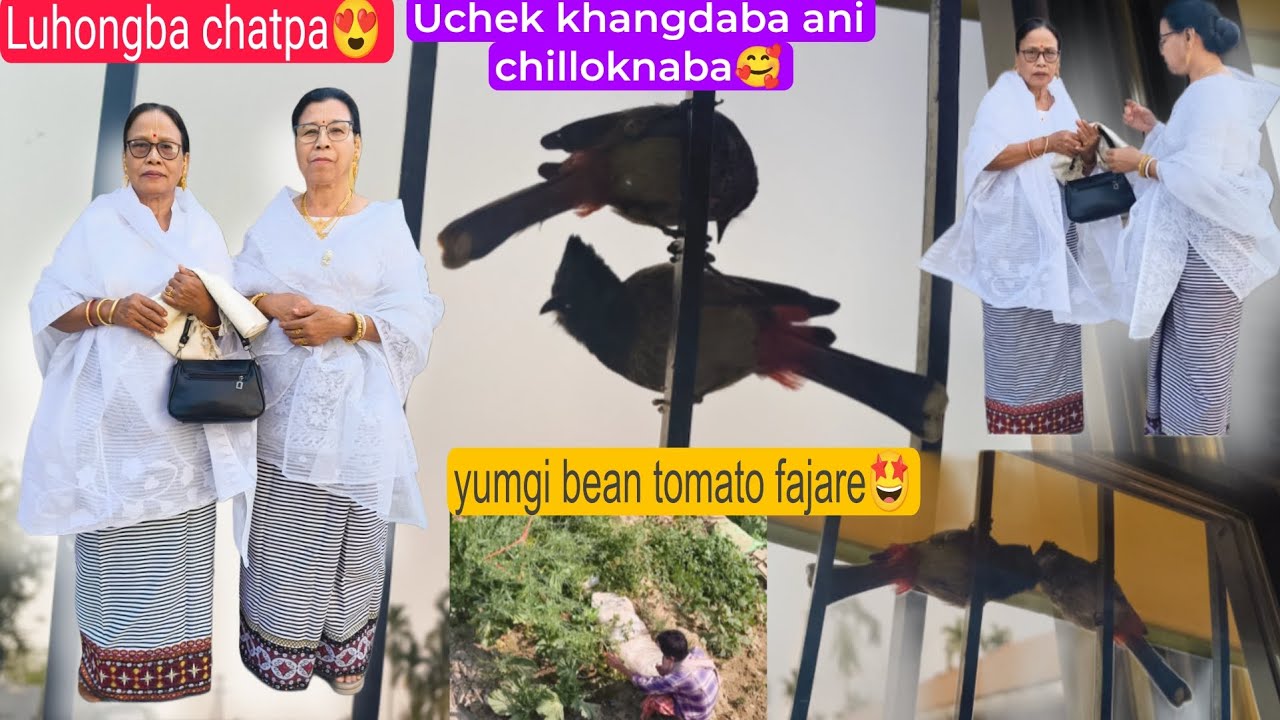 Kuina leira matungni video lepagi maram hyre🤒 bean tomato chaore🍅 Mandhau Mama ahanba luhong chatpa🥰