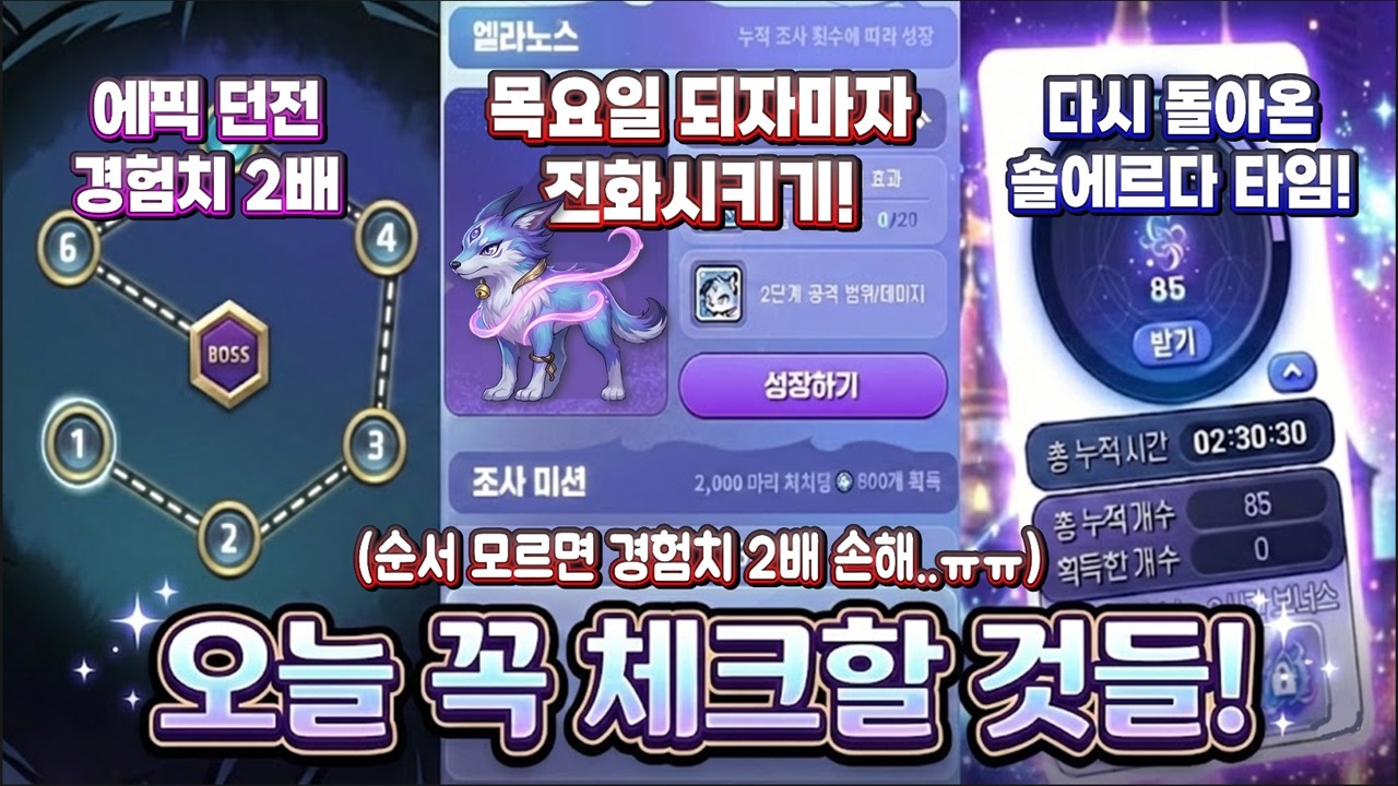 [한자] 목요일 땡치고 바로 하면 안돼~!! (2배 손해봅니다..!! 메이플 중요 일정 총정리!! 썬데이 메이플/메이플나우/테스트월드 등등) [메이플스토리]