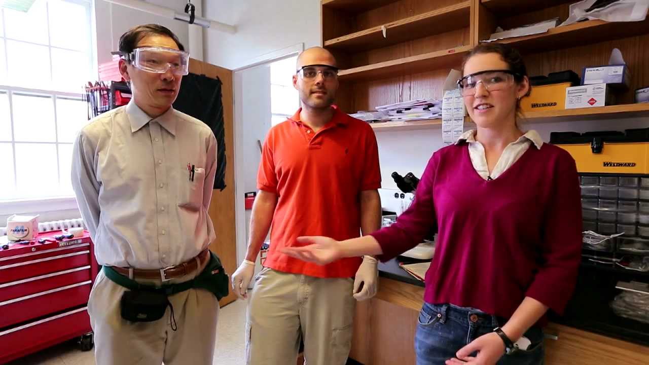 Spinning a Thread from a Carbon Nanotube Forest - Bytesize Science