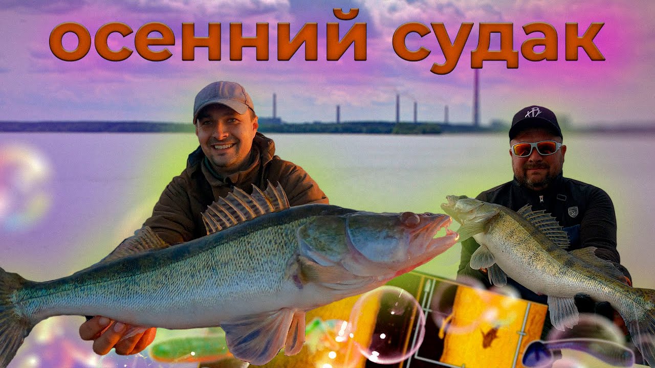 Золотой осенний Судак Матырского водохранилища