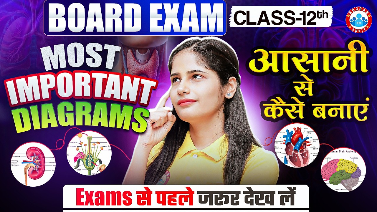 Class 12 Biology Most Important Diagrams | Complete Book All Important Diagrams | UP Board Exam 2026