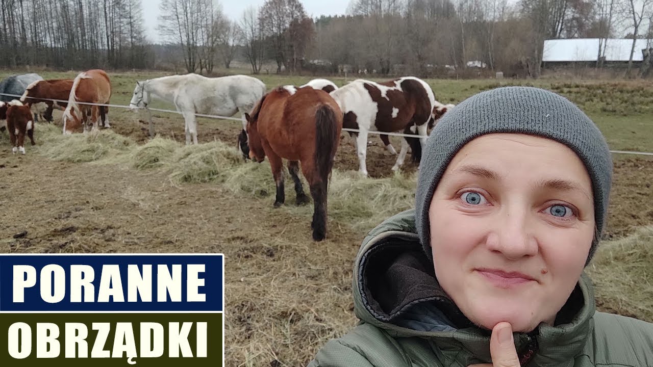 Poranne obrządki