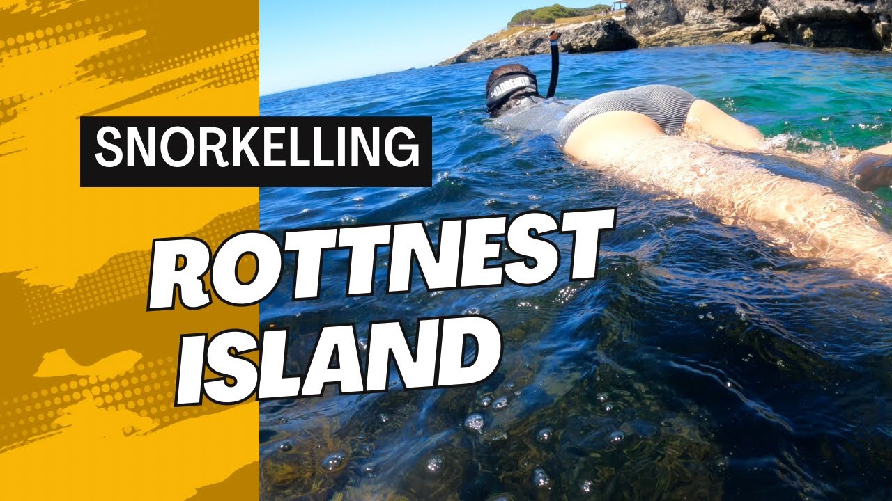 Snorkelling - Rottnest Island, WA