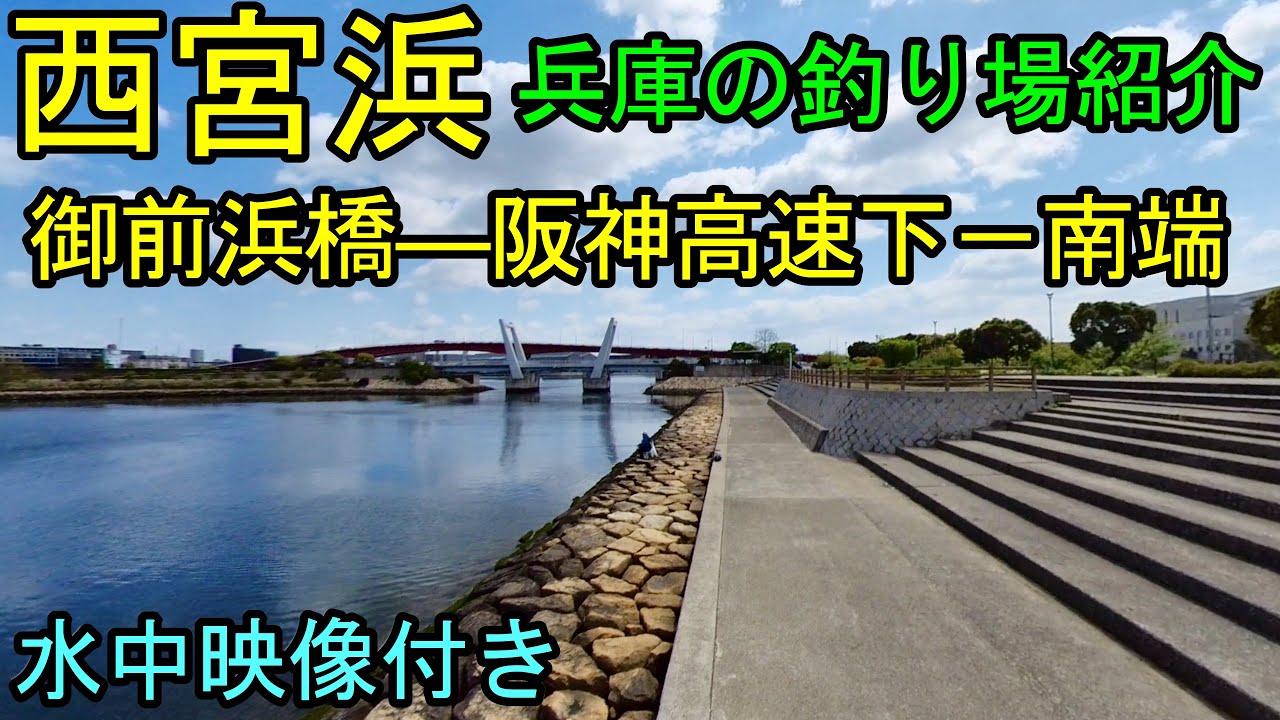【水中映像付き】御前浜橋から西宮浜西岸の釣り場の紹介！チヌ、シーバスポイントが確認できます。