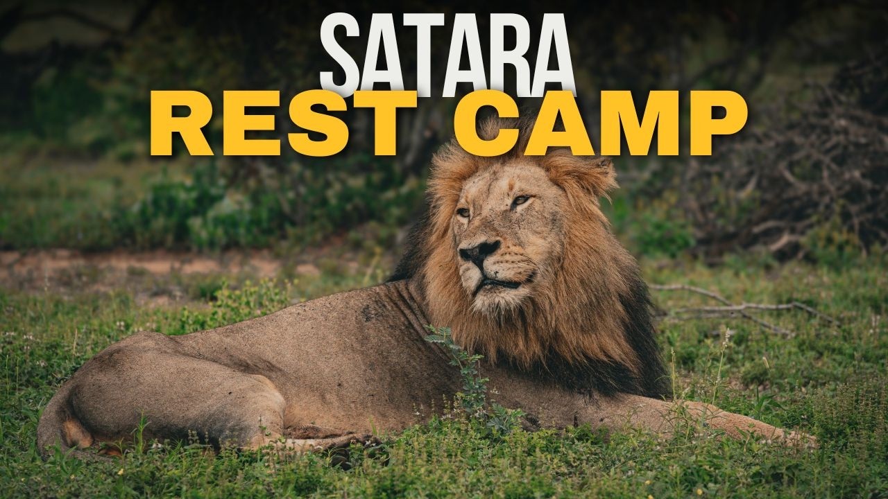 Satara Rest Camp Kruger National Park | Full Camp Tour & Review