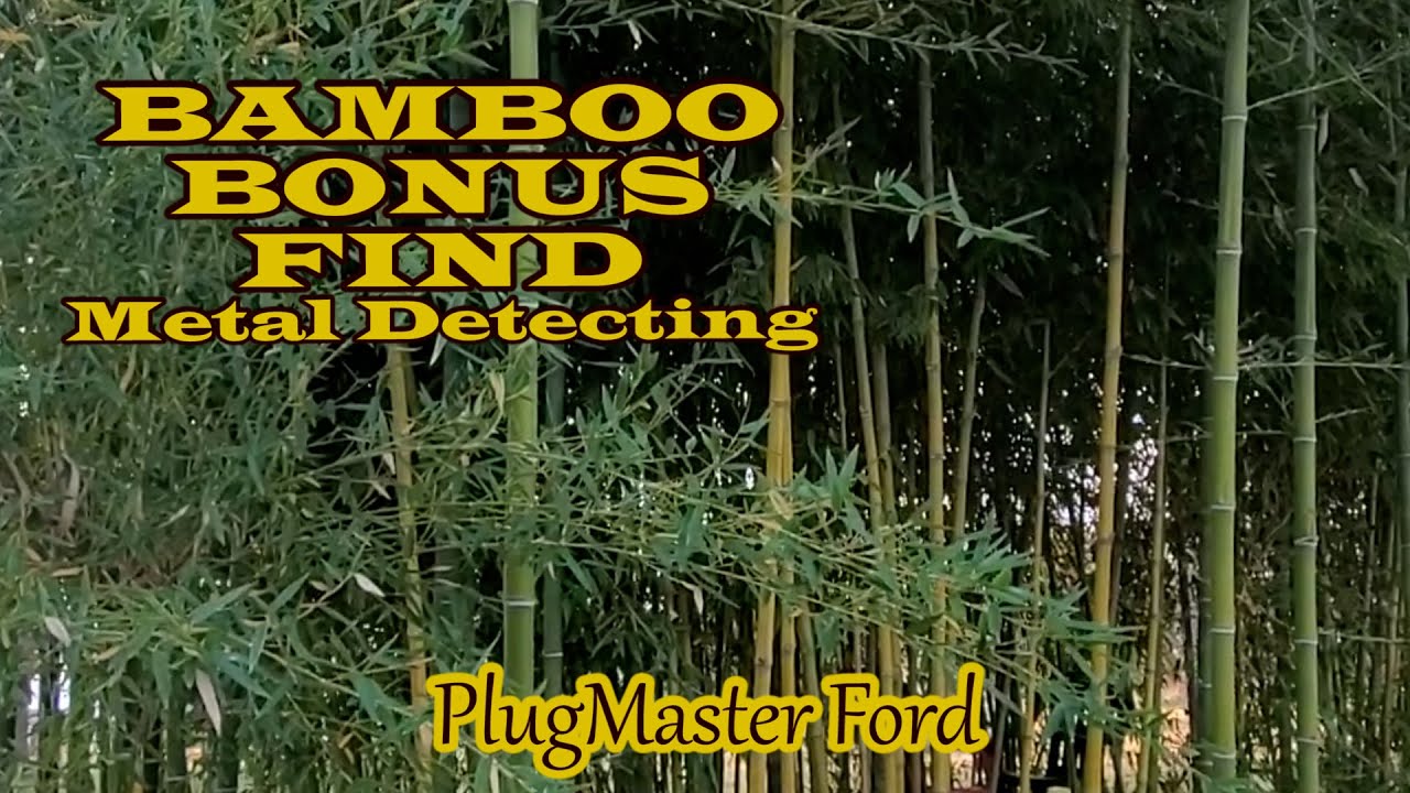JUNGLE Like Yard FINDS OLD COINS Metal Detecting | PlugMaster Ford | Anfibio