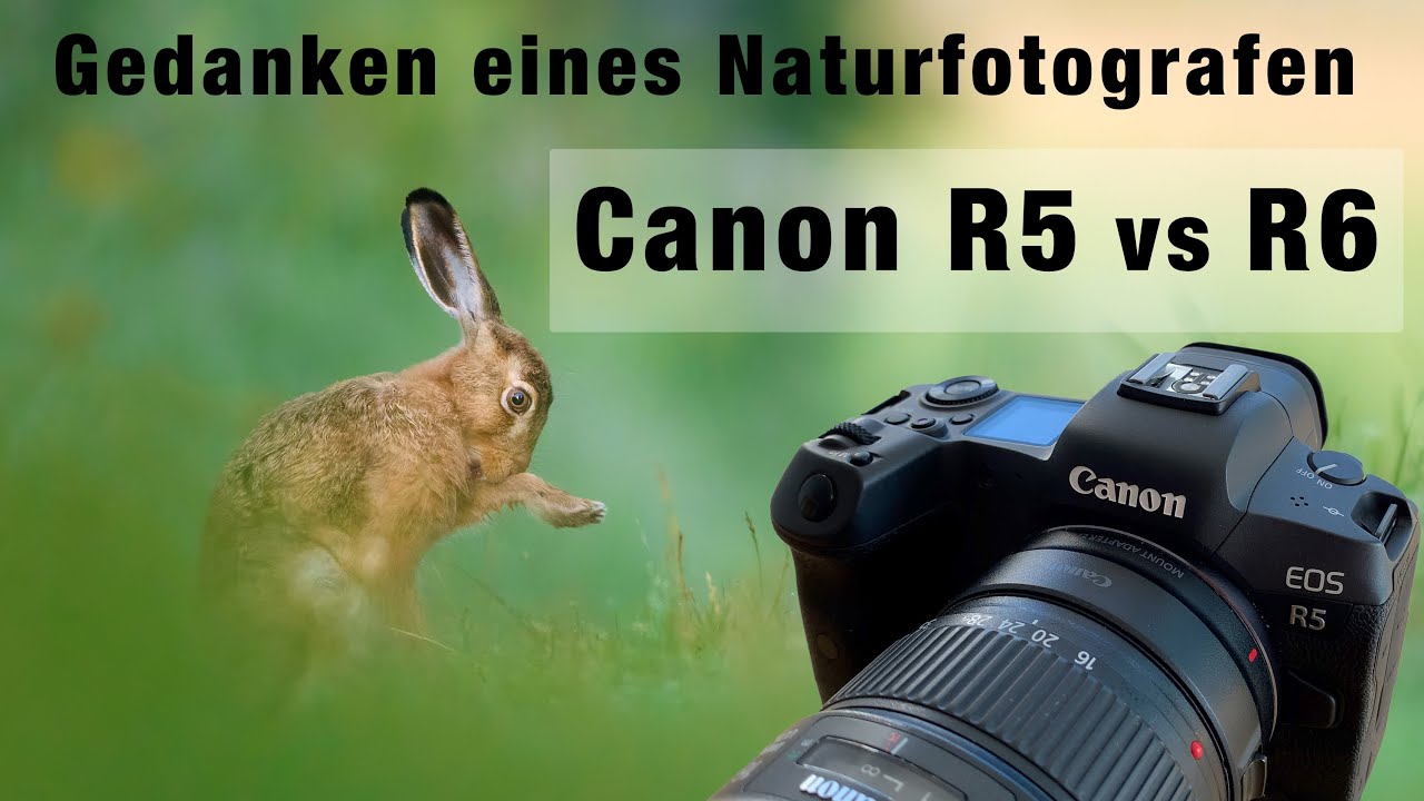 Kaufentscheid: Canon R5 oder Canon R6? Gedanken eines Naturfotografen