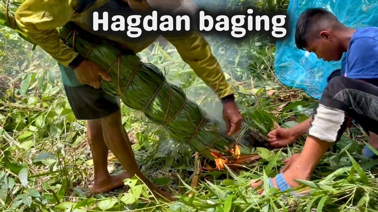 Hagdan baging para makuha ang pulot sa napakataas na puno | BUHAY PROBINSYA