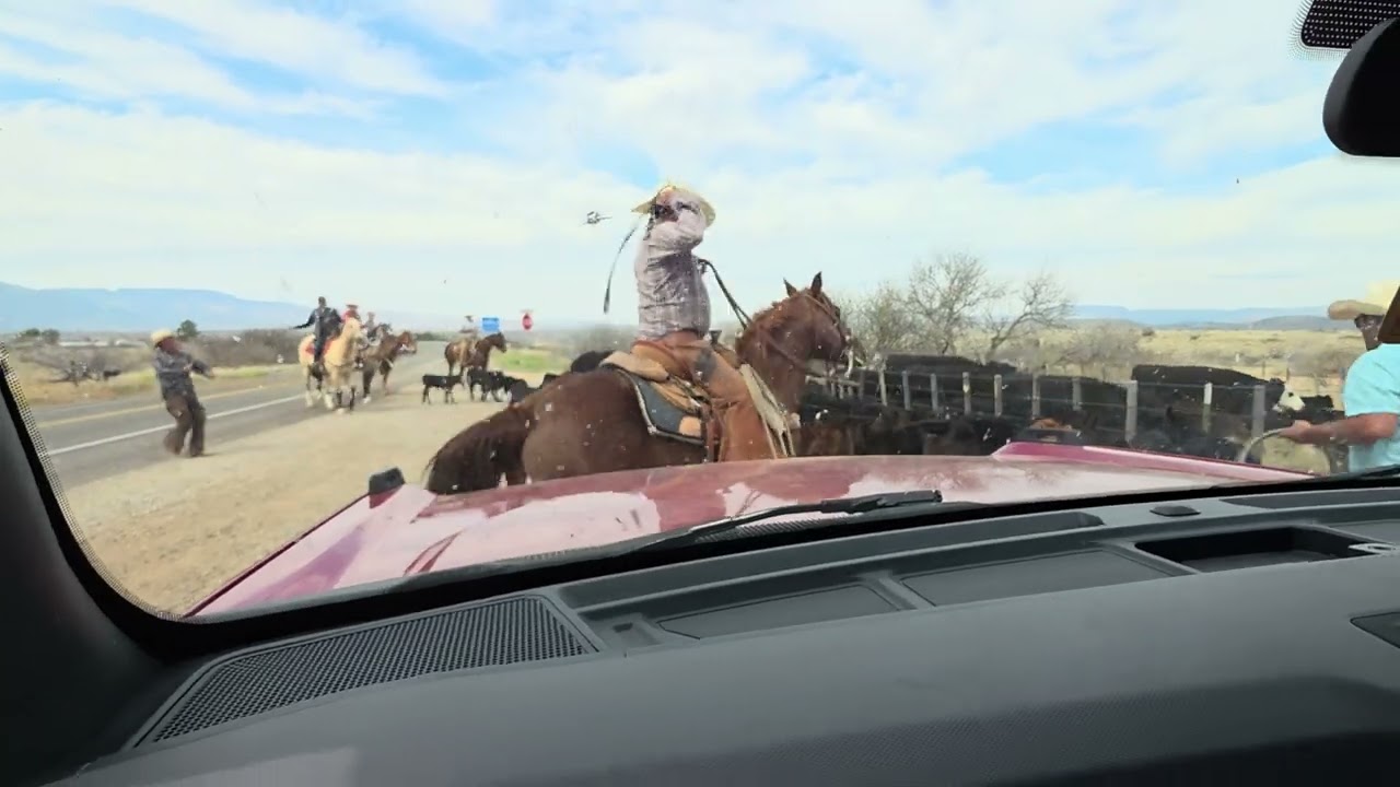 Cornville traffic jam