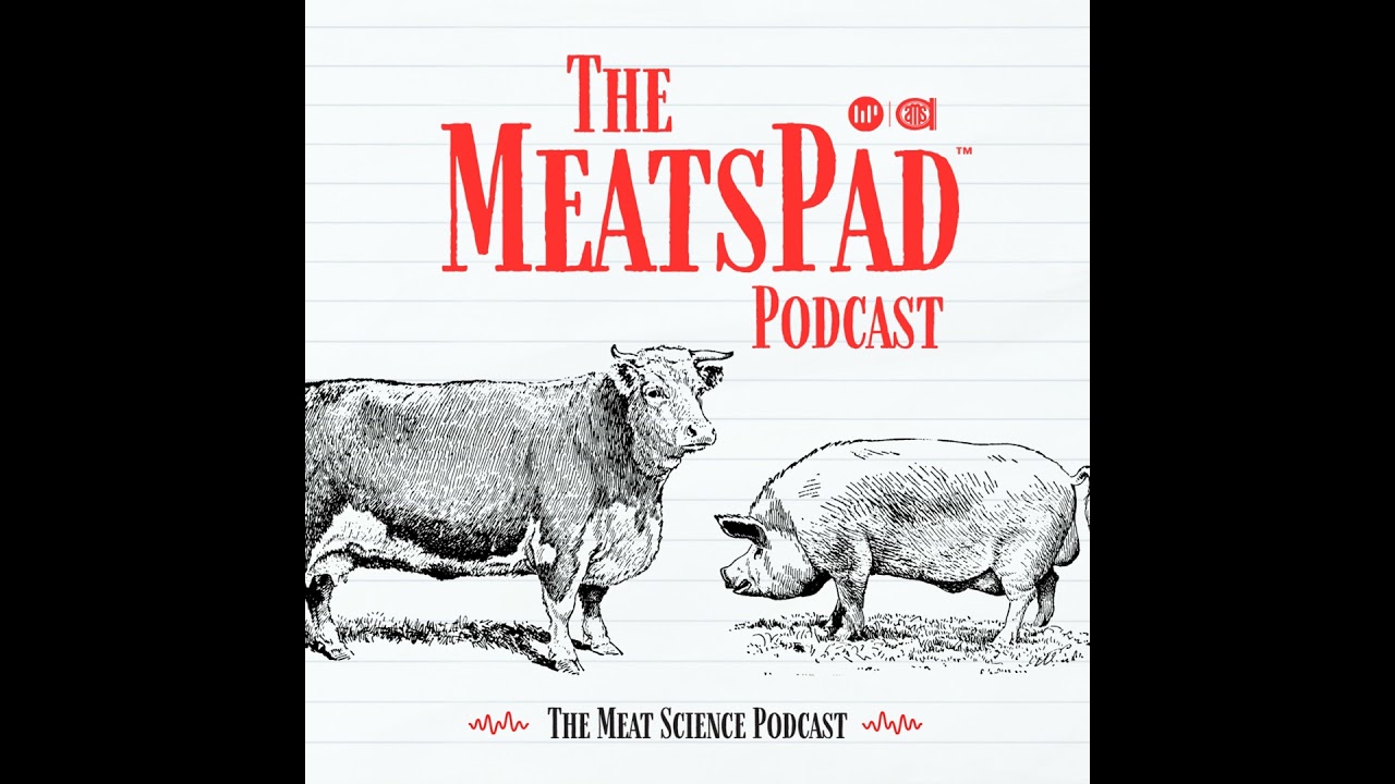 What is Meat Judging? with Dr. Gretchen Mafi