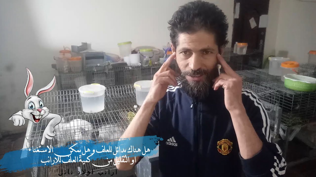 هل هناك بدائل للعلف و هل يمكن الاستغناء او التقليل من كمية العلف للارانب