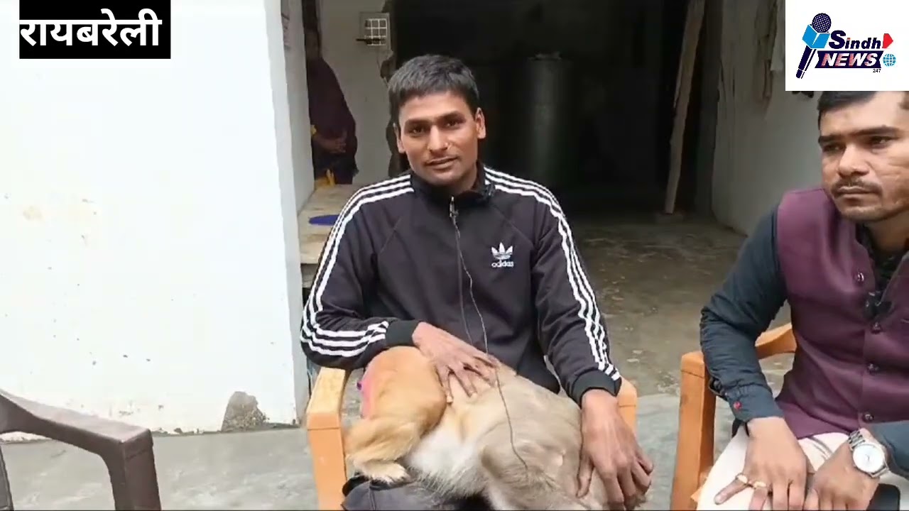 रायबरेली में कामकाजी बंदरिया का वीडियो वायरल हुआ है।