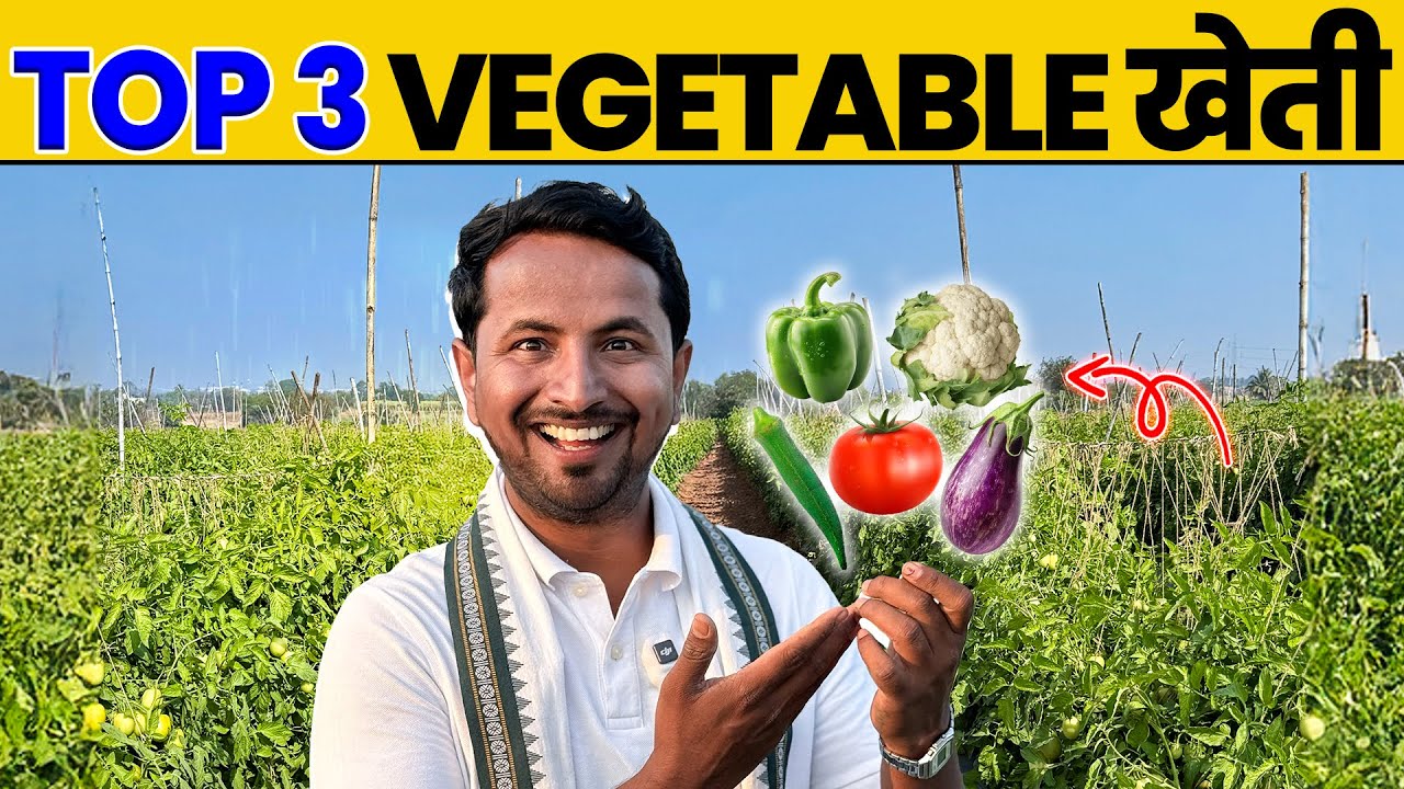 2025 की Top 3 सब्ज़ी की खेती💰लाखों की कमाई का पक्का रास्ता 🚀 Indian Farmer