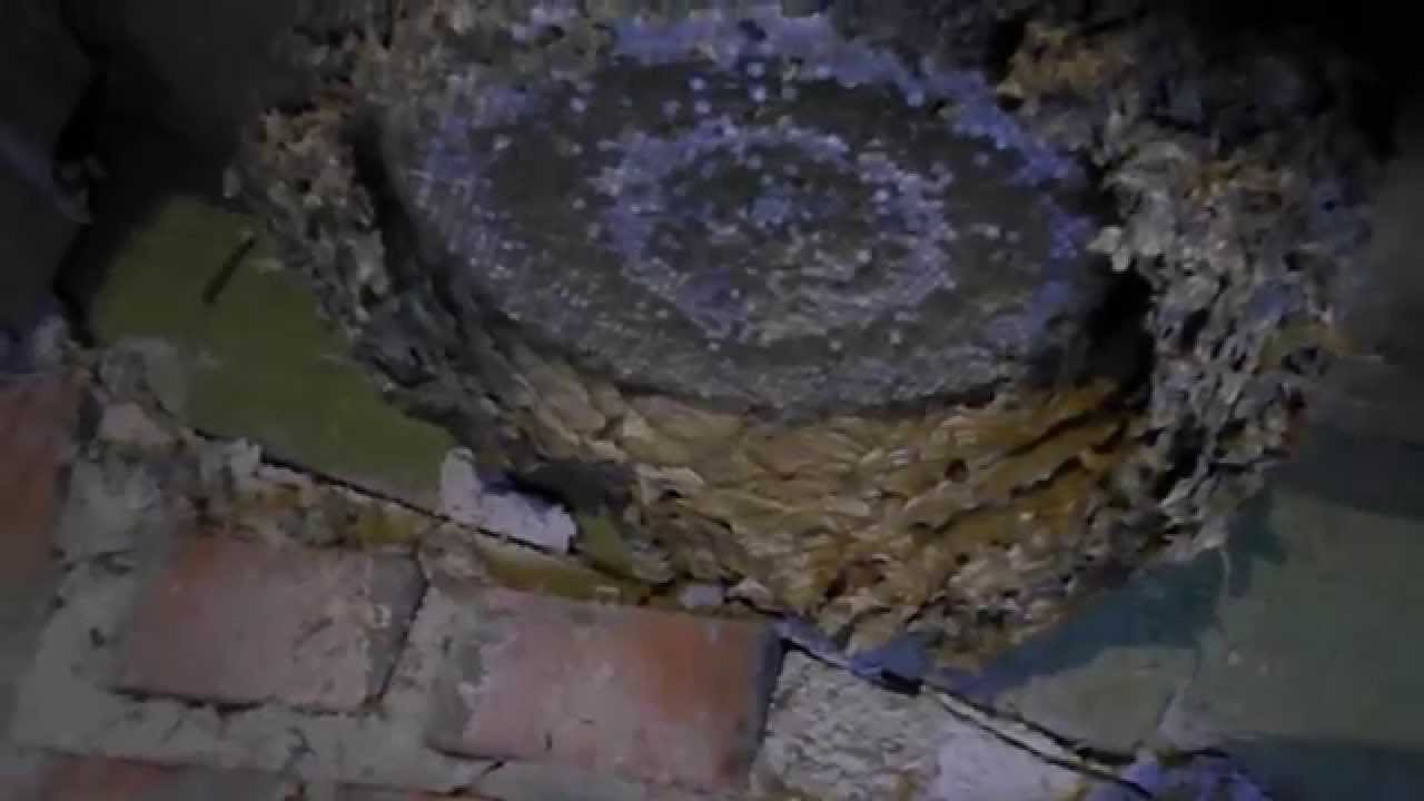 Usuwanie dużego gniazda os
