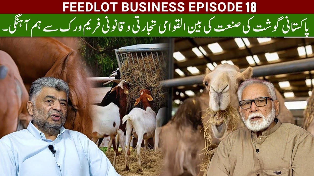 Essentials of exploiting meat export potential of Pakistan