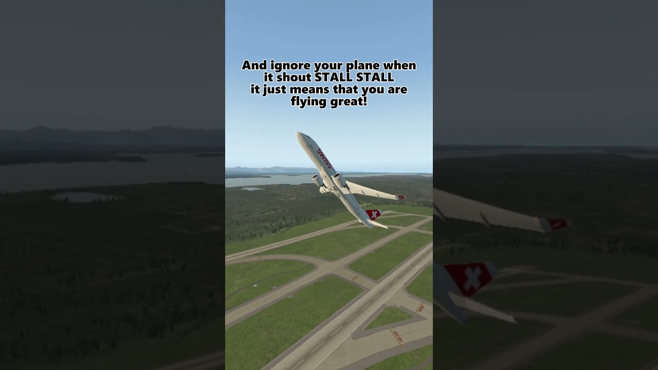 Very useful tips for pilots!  #airplane #xplane11 #airplane4