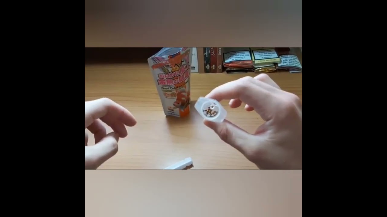 Come alimentare correttamente un pesce rosso (Video di Simi)