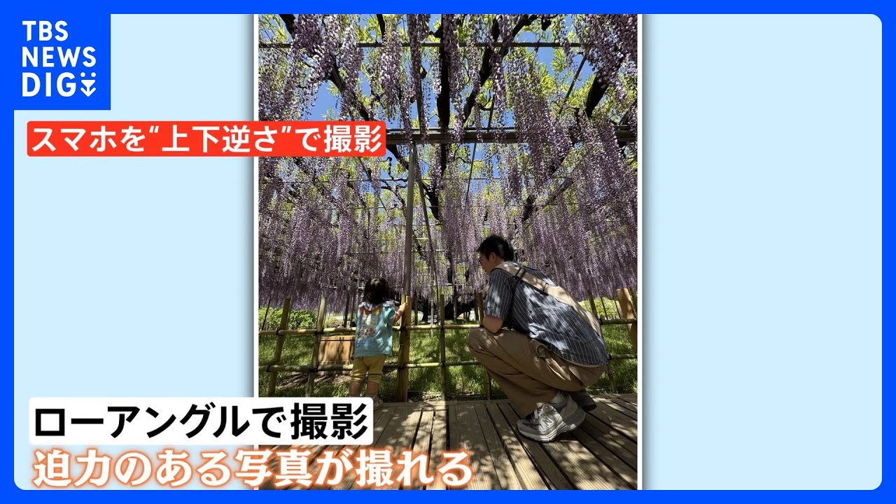 今年のGWは『近場』が人気！ 箱根の新スポットは富士山間近で『映え写真』＆栃木で見頃の藤の花は“逆さ撮影”で｜TBS NEWS DIG