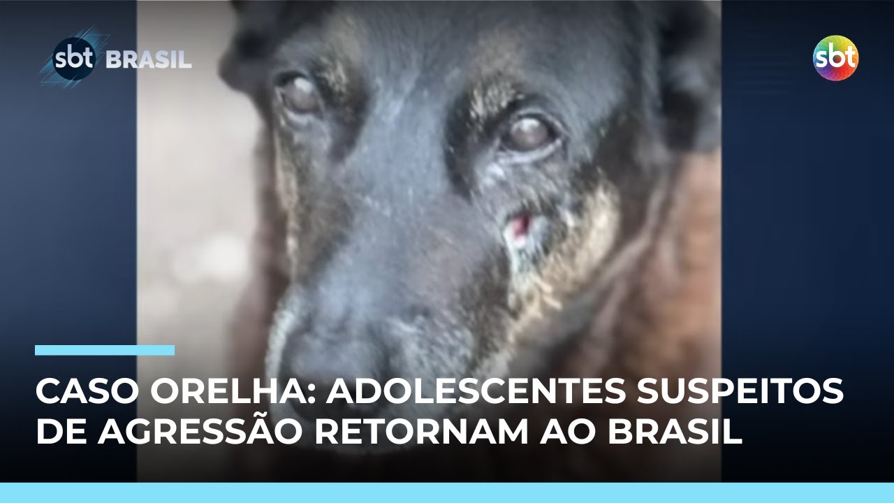 Caso Orelha: Adolescentes suspeitos voltam ao Brasil; polícia cumpre novos mandados | #SBTBrasil