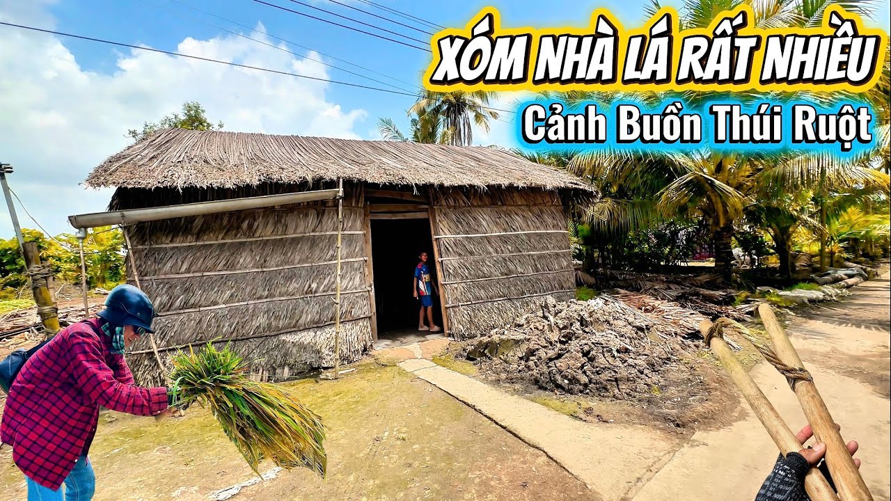 Xóm Làng Quê Nhà Lá, Khung Cảnh Miền Tây Bình Yên Đến Lạ, Ở Đây Người Dân Sinh Sống Sao