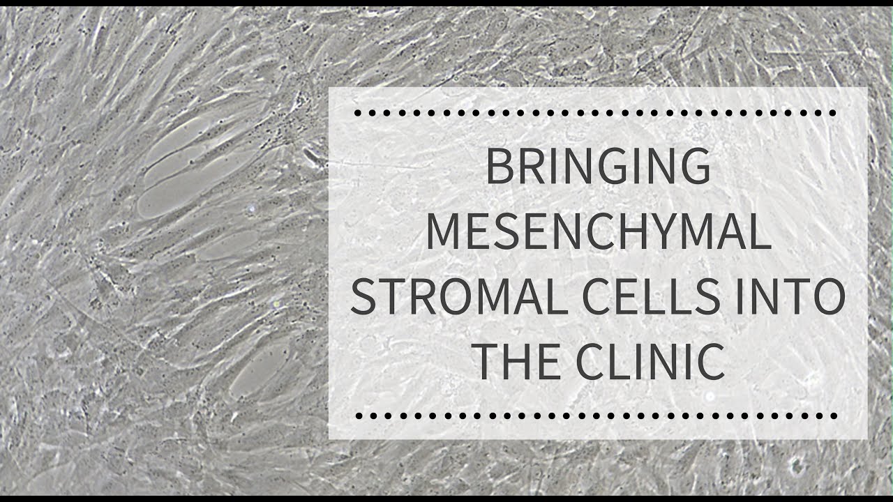Bringing Mesenchymal Stromal Cells into the Clinic| REPROCELL