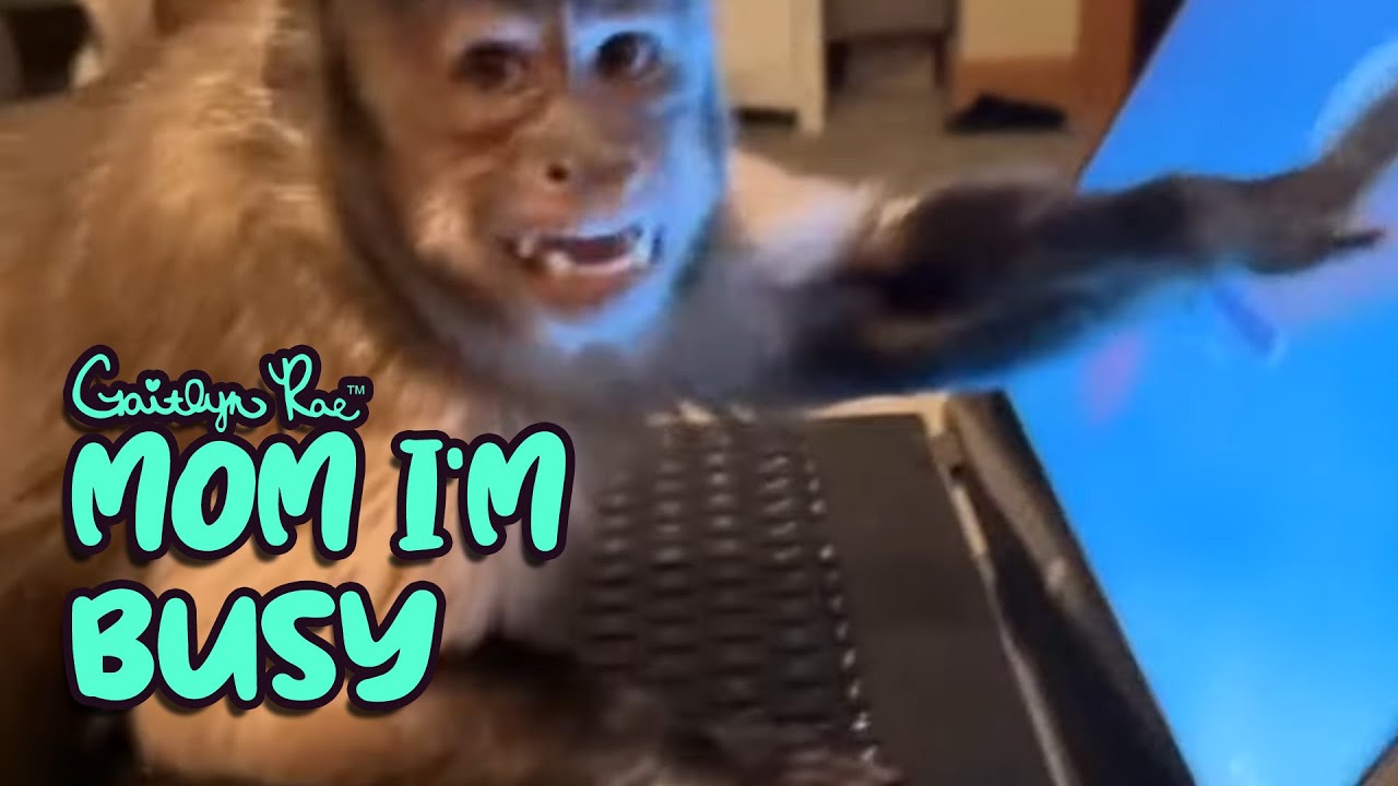CEO Monkey Tells Mom No - Gaitlyn Rae