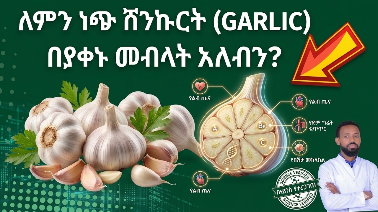 የነጭ ሽንኩርት 10 አስደናቂ ጥቅሞች /// Garlic health benefits