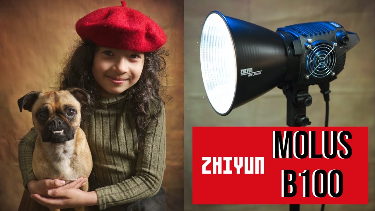 Quick review of the Zhiyun Molus B100 continous light