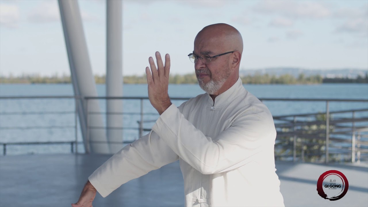 Tai Chi 108 mouvements Martin Ratté