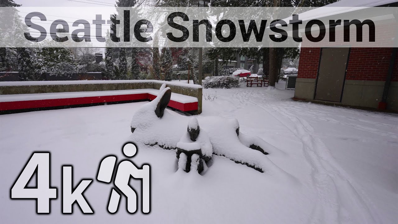 A Walk Around the Neighborhood in the Snow - Binaural 4k60 #VirtualHike