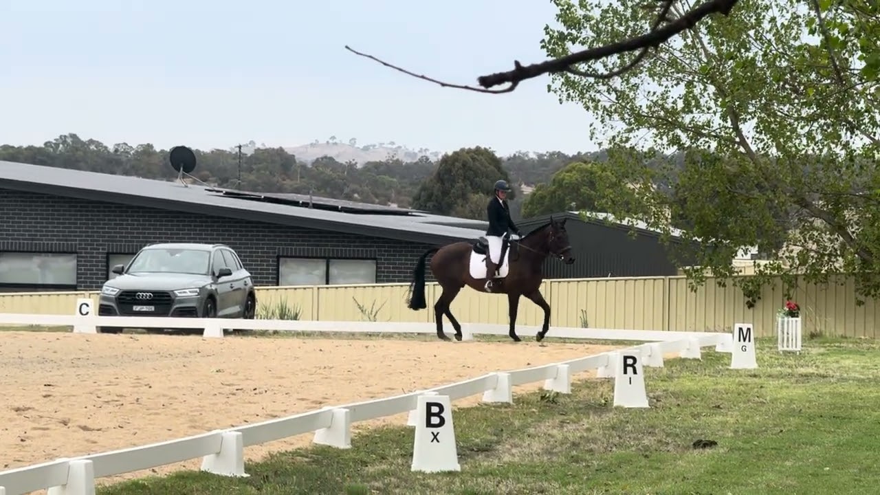 Jordan Masterton and Capricorn- Prelim 1.3 at Yass Dressage - 62.9%