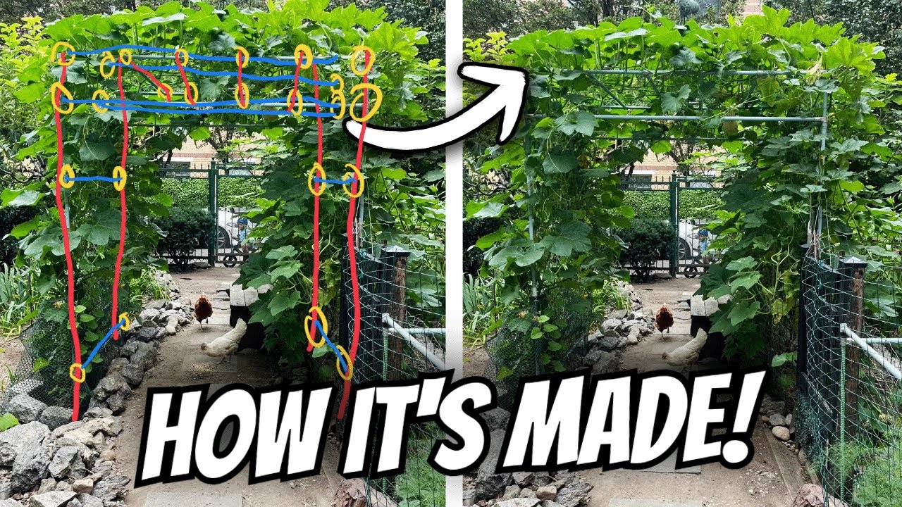 How This DIY Walkway Trellis Was Made!