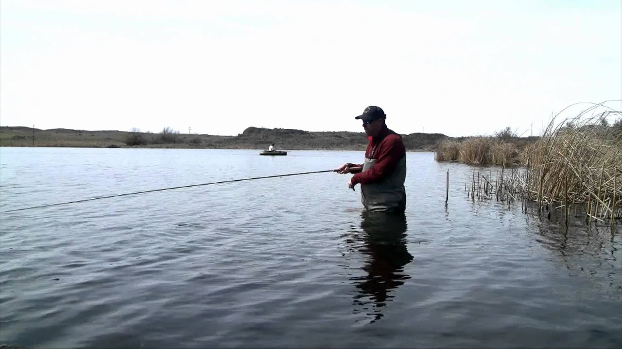 Lake Fishing with Switch Rods
