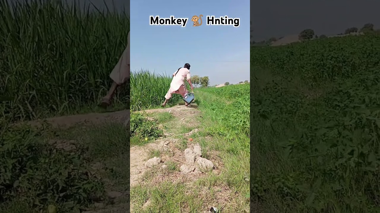 A failed attempt to capture Monkey in the grass#villagelife #farming #hunter #viralshort #reels