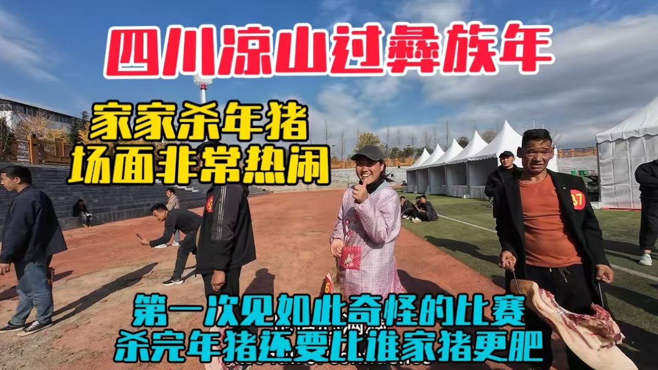 實拍四川大涼山過彝族年，家家戶戶開心殺年豬慶祝，殺完年豬還要比誰家豬更肥，一場很有趣的比賽，場面非常熱鬧！
