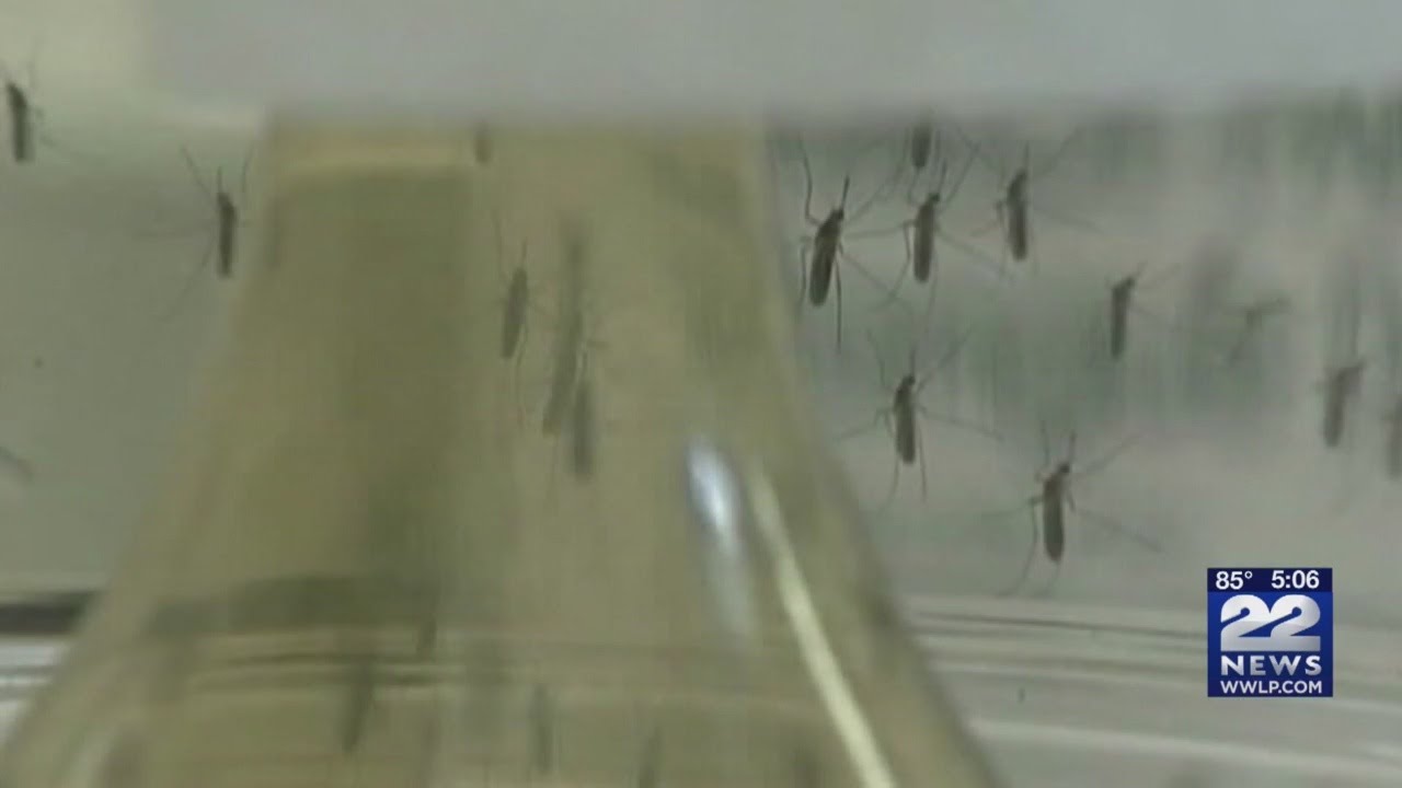 Mosquitoes test positive for West Nile Virus in Massachusetts for first time this year
