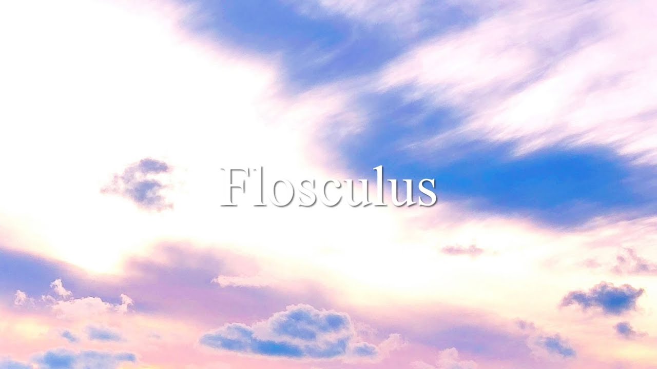 ♡ Flosculus ～ Whimsical Fantasy Music for Violin and Lute ～ By Loveolin ♡