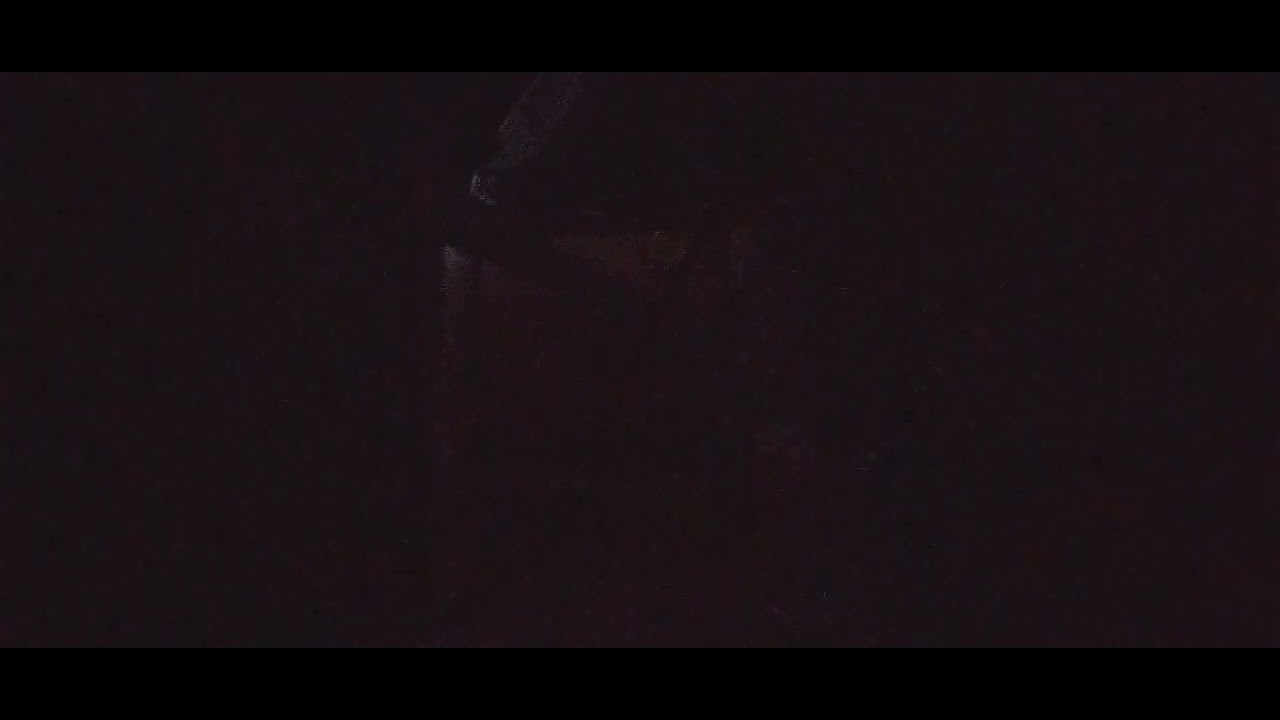 Overnight video 2