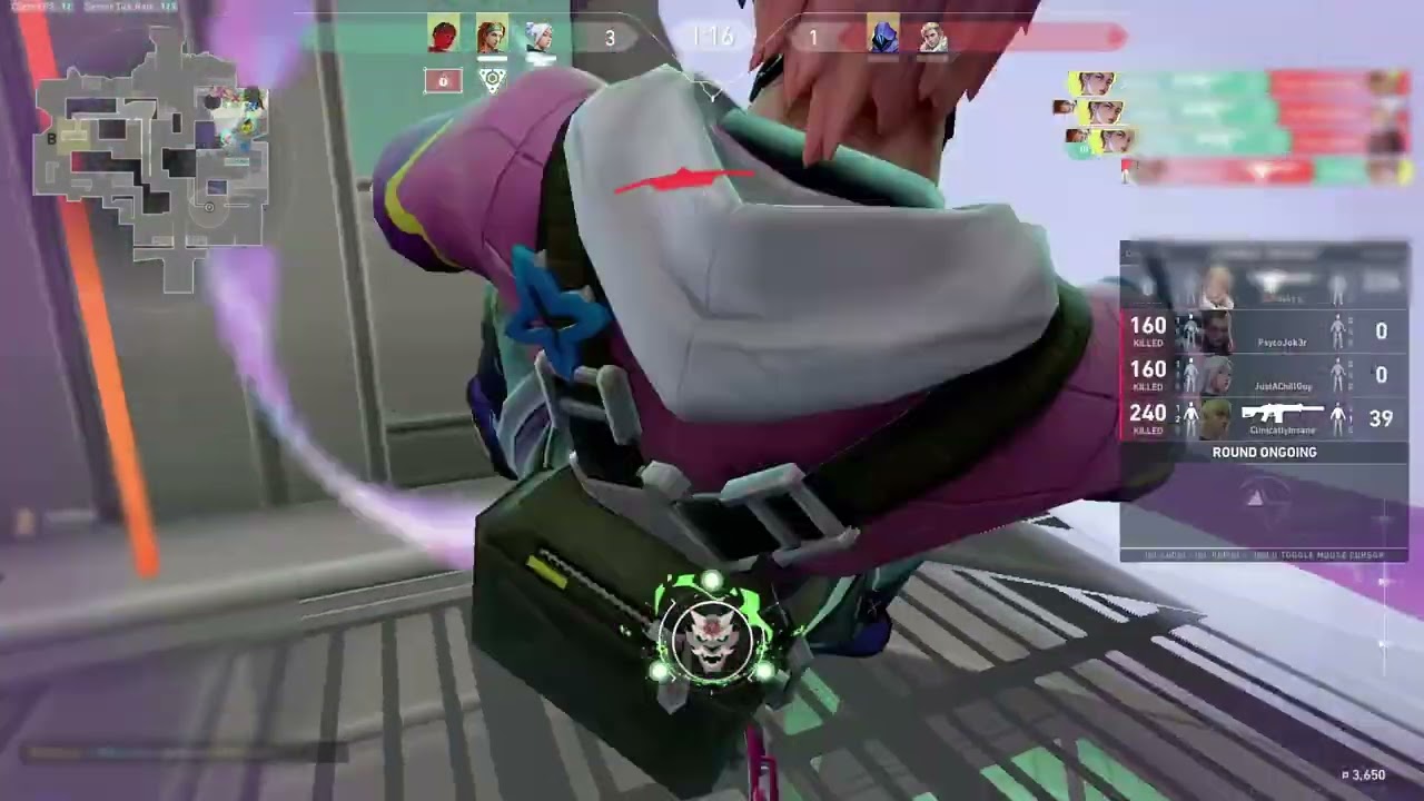 I Tried the BEST Valorant Colorbot🎯(Ft. Badware)