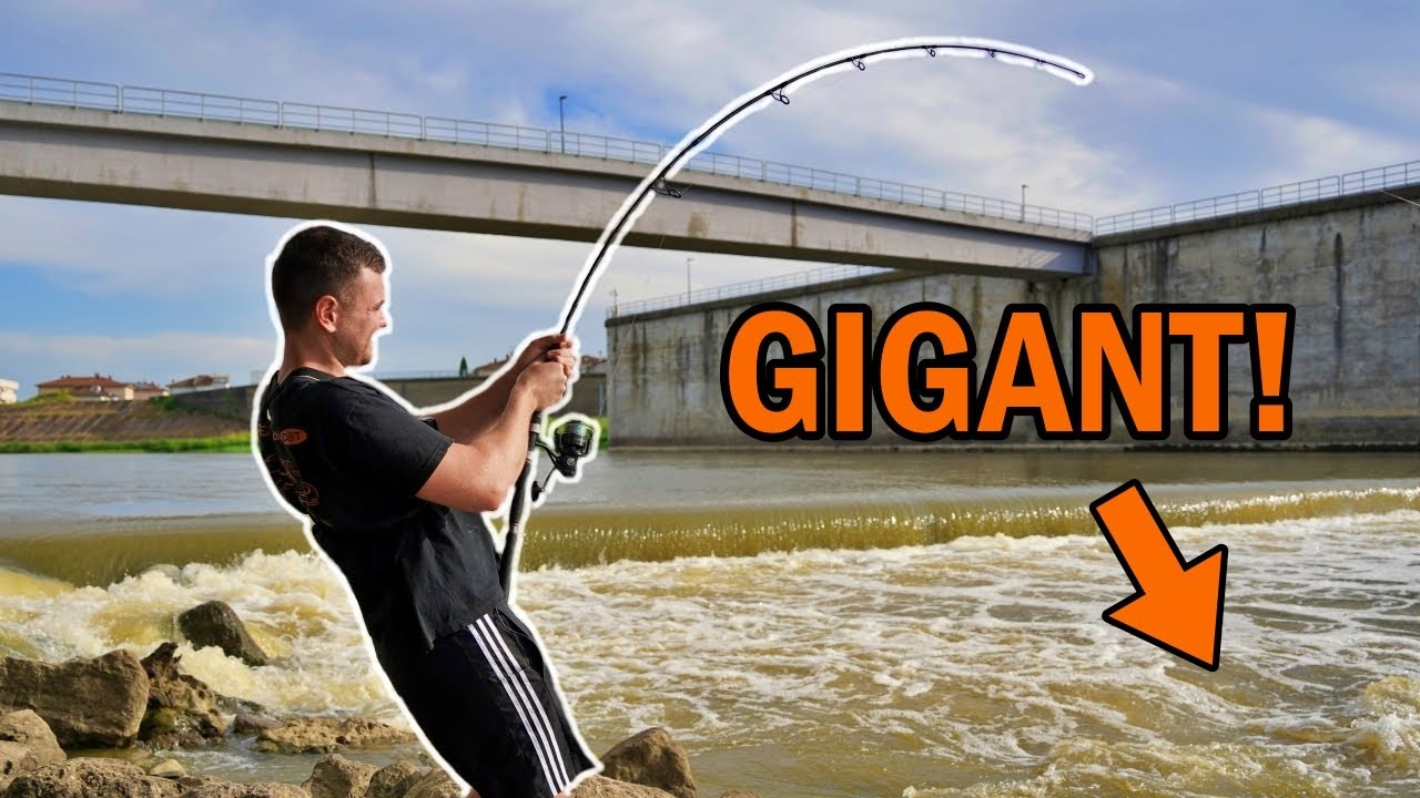 Spinnfischen auf WELS! Fanggarantie mit dieser Taktik