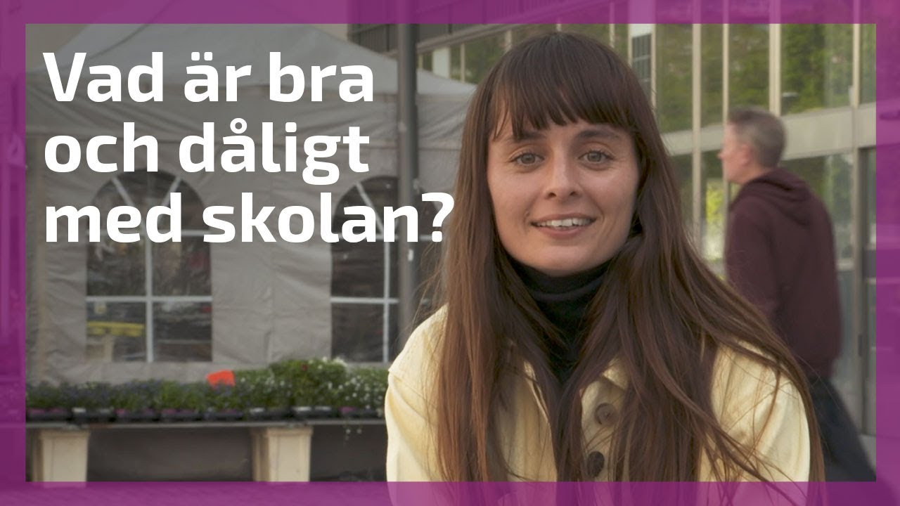 Vad är bra och dåligt med den svenska skolan?