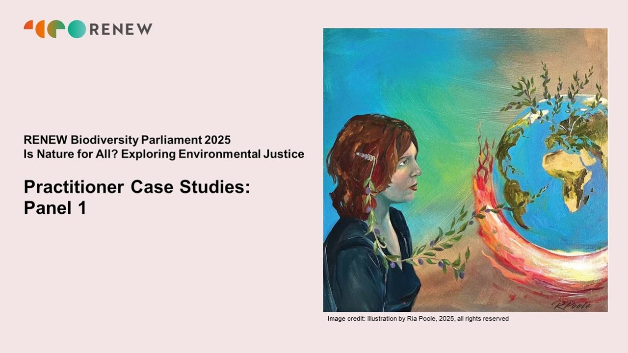 Practitioner Case Studies 1