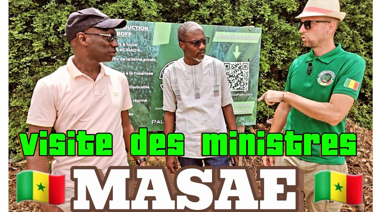Steven_Moussa reçois les 2 Ministres, Mabouba Diagne et Alpha Ba #investiraupays #senegal #diaspora