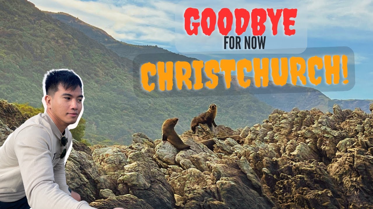Moving to Wellington to work as a Agency Nurse | Life update
