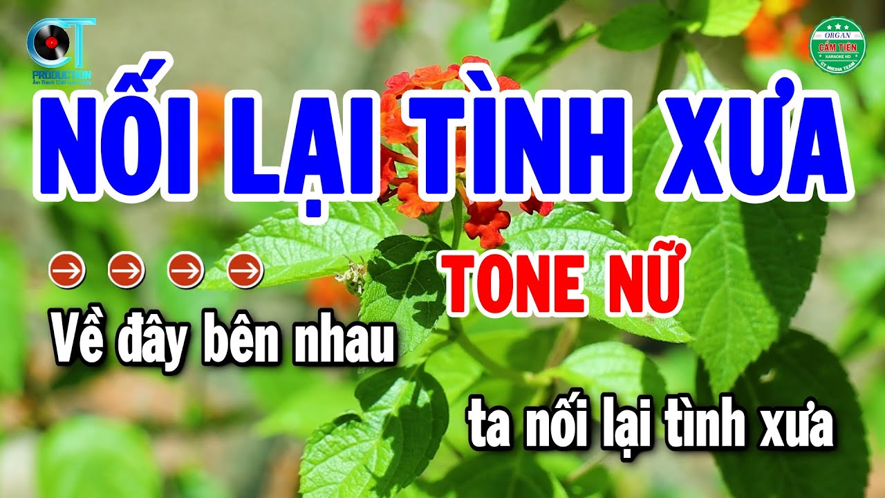 Karaoke Nối Lại Tình Xưa Tone Nữ Nhạc Sống Cha Cha Chuẩn Dễ Hát | Cẩm Tiên Organ
